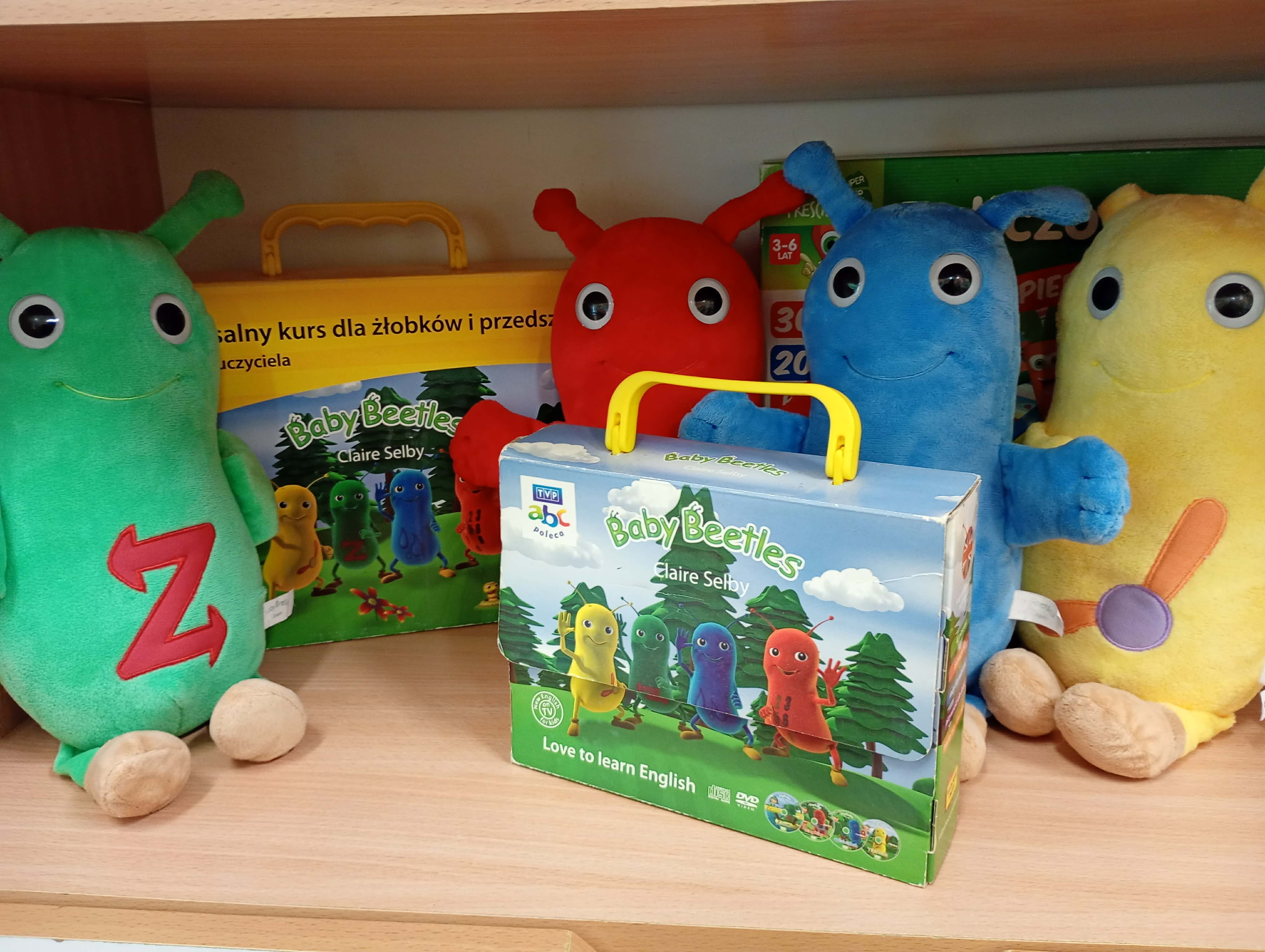 Zdjęcie pomocy edukacyjnych do realizacji programu