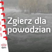 Grafika - pomoc dla powodzian
