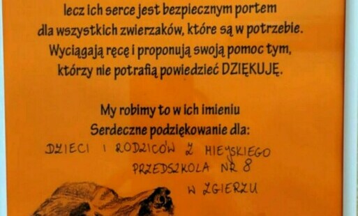 Grafika - podziękowania dla przedszkola z Fundacji Medor