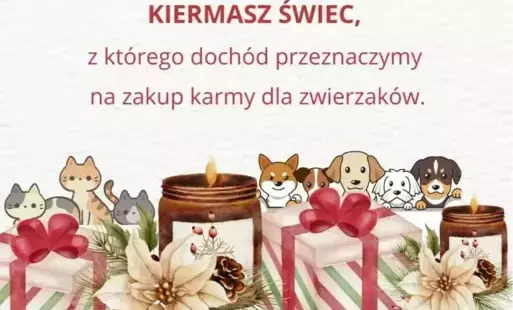 Grafika - plakat akcji charytatywnej 
