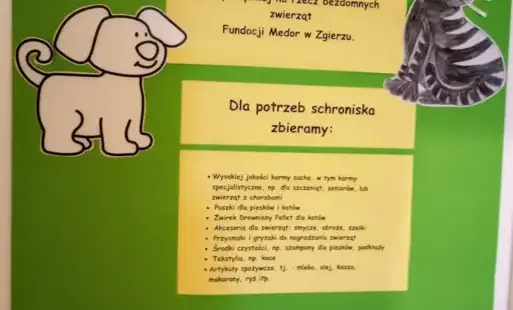 Plakat promujący zbiórkę karmy